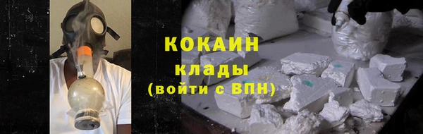 шишки Грязовец