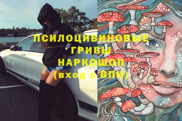 прущие крисы Алзамай